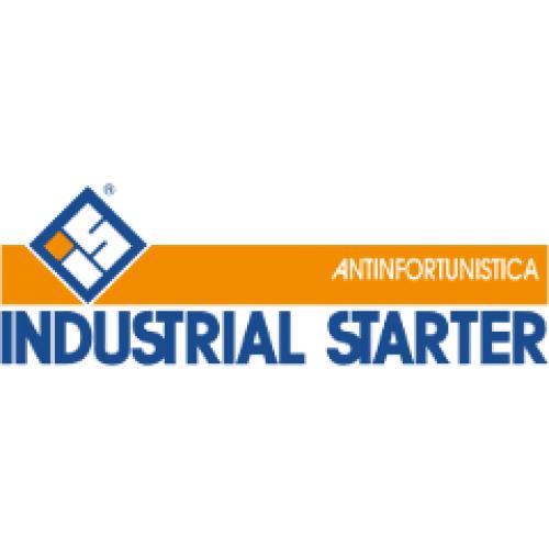 Industrial starter